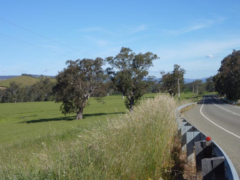 Yea - Melba Highway south of Yea - View south along Melba Hwy, 5 km south of Yea