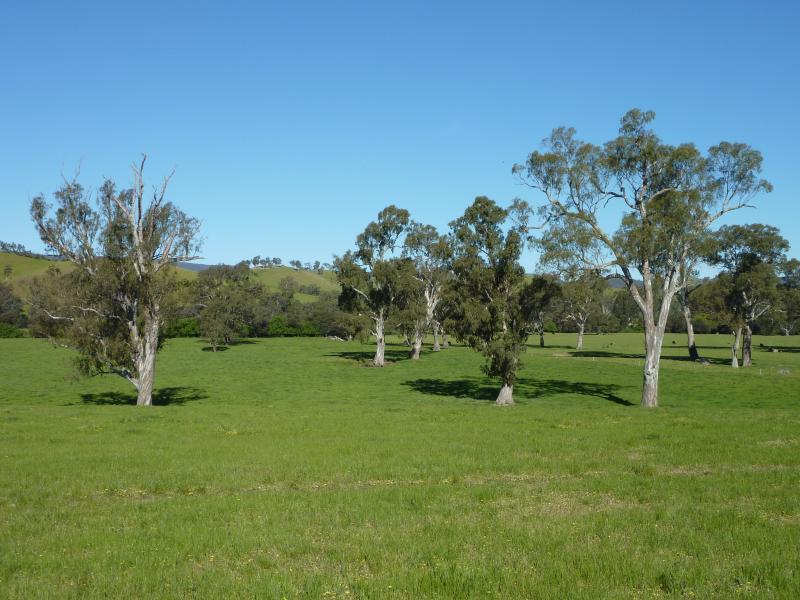 Yea - Melba Highway south of Yea: Easterly view, Melba Hwy near Ewing Rd